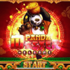 Panda Master App APK File Free Download