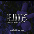Granny 5 App Apk File Free Download